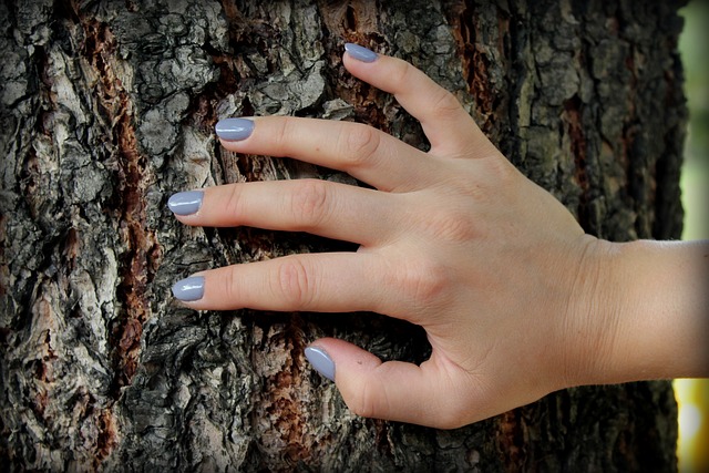ruka na stromě