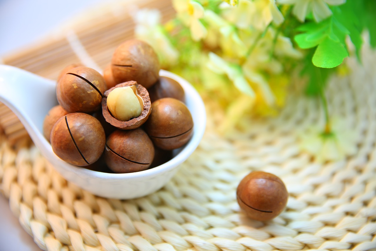 macadamia-nuts-1098170_1280